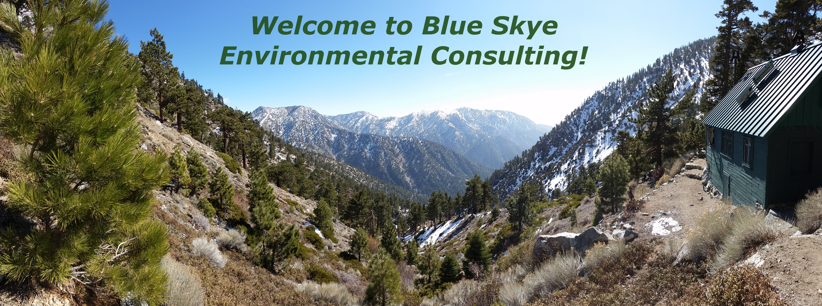 Welcome to Blue Skye Environmental Consulting